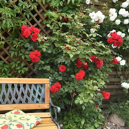 Apartment Gartenidylle In Nr 2 Kröpelin