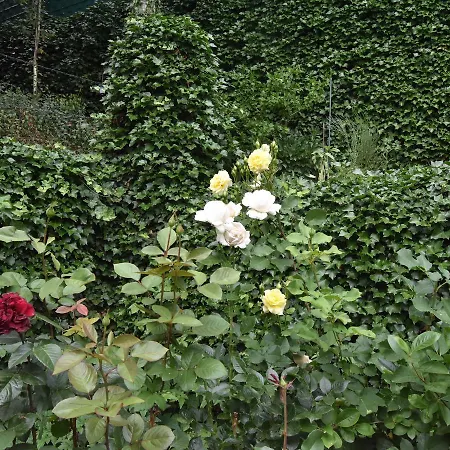 Apartment Gartenidylle In Nr 2 *