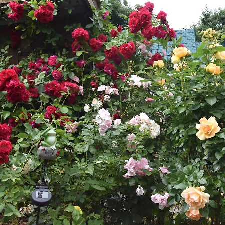 Gartenidylle In Nr 2 *